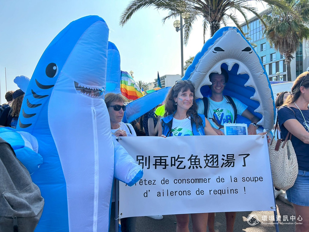 遊行現場有人穿著鯊魚裝，用中文與法文並排，訴求「別再吃魚翅湯了」。攝影：林郁宸