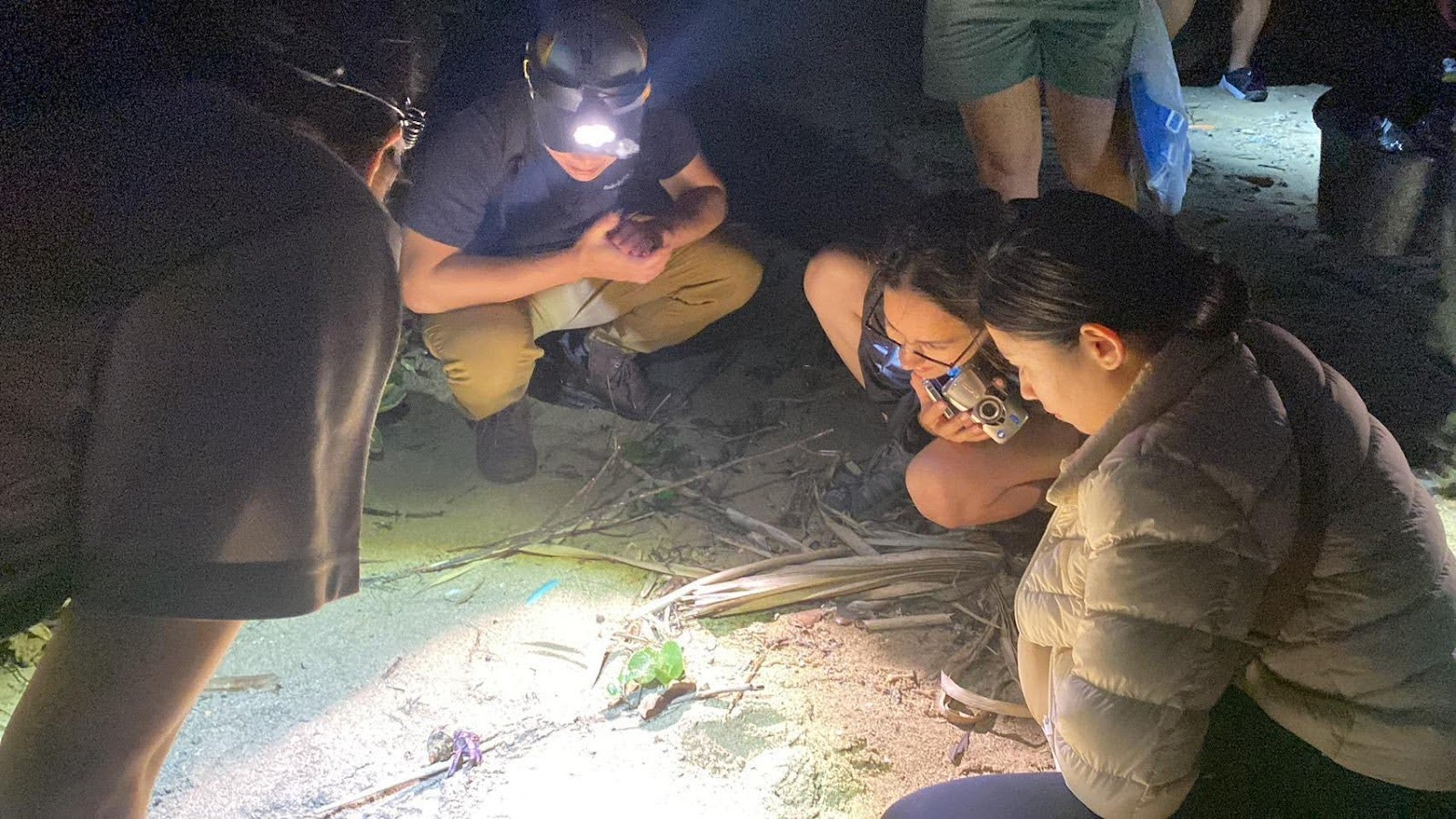 教育是保育生物多樣性的基石，圖為琉球大學學生夜間觀察。圖片來源：許嘉軒提供